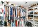 Well-organized walk-in closet with ample shelving and hanging space at 164 Wellington Pkwy, Noblesville, IN 46060