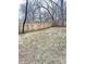 Large backyard with a wooden fence and scattered trees, perfect for pets and outdoor activities at 4114 N Butler Ave, Indianapolis, IN 46226