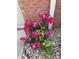 Close-up of lush landscaping with colorful flowers at 5148 Constitution Ct, Columbus, IN 47203