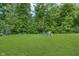 Large backyard features a lush green lawn, mature trees, and a charming playset for endless fun at 8556 N Deer Hill Dr, McCordsville, IN 46055