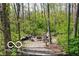 Secluded backyard fire pit area with gravel, surrounded by mature trees and natural forest setting at 10707 Club Chase, Fishers, IN 46037