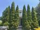 Charming home featuring tall, mature evergreen trees lining the front entrance for extra privacy at 712 Cottage Ave, Anderson, IN 46012
