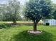 Spacious backyard with mature shade trees, a privacy fence, and a storage shed at 7175 Oakview Dr, Avon, IN 46123