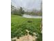 Picturesque backyard with lush green grass and a serene pond, creating a relaxing outdoor oasis at 8457 Kousa Dr, Indianapolis, IN 46234