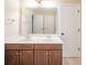 Bathroom features a double sink vanity with a large mirror and ample storage space in the cabinets at 10555 Serra Vista Pt, Fishers, IN 46040
