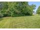 Expansive backyard featuring lush green lawn and mature trees along the perimeter at 1696 Woodfield Dr, Greenwood, IN 46143