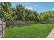 Well-maintained backyard features a lush lawn and a privacy fence lined with mature trees at 17357 Austrian Pine Way, Westfield, IN 46074