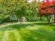 Expansive backyard featuring lush green lawn, mature trees, and a charming playset at 312 Hawthorne Dr, Pittsboro, IN 46167