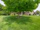 Landscaped front yard with a large shade tree and manicured lawn at 312 Hawthorne Dr, Pittsboro, IN 46167