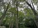 View of trees and sky in the beautiful wooded backyard at 5010 Melbourne Rd, Indianapolis, IN 46228