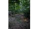 Wooded backyard path is illuminated by solar lights and leads to a relaxing greenhouse at 5010 Melbourne Rd, Indianapolis, IN 46228