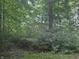 Tree lined backyard of the property at 5010 Melbourne Rd, Indianapolis, IN 46228