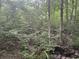 View of the wooded lot with plenty of trees and space at 5010 Melbourne Rd, Indianapolis, IN 46228