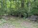 Comfortable wooded backyard with benches and lighting at 5010 Melbourne Rd, Indianapolis, IN 46228