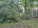 A partial view of the backyard featuring the greenhouse at 5010 Melbourne Rd, Indianapolis, IN 46228