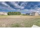 Expansive backyard featuring a lush lawn and mature trees, perfect for outdoor activities and relaxation at 5794 Wintersweet Ln, Whitestown, IN 46075