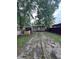 View of backyard with two trees, gravel driveway, and grassy area behind the house at 733 Haugh St, Indianapolis, IN 46222
