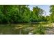 Scenic river view featuring clear water, lush greenery, and a serene natural environment on a sunny day at 8717 Moore Rd, Indianapolis, IN 46278