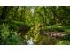 A tranquil stream reflecting the lush greenery of the surrounding trees and foliage at 8717 Moore Rd, Indianapolis, IN 46278