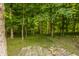 Serene wooded area with mature trees and brick rubble for a rustic, natural aesthetic at 10248 Noble Ct, Indianapolis, IN 46234