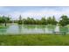 Outdoor basketball court with well-maintained surface, surrounded by trees, offering a recreational space for residents at 14662 Woodstone Cir, Fishers, IN 46037