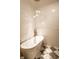 Elegant bathroom featuring a freestanding tub, stylish fixtures, and a luxurious tiled backdrop at 270 W Broadway St, Greenwood, IN 46142