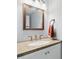 The bathroom features a custom vanity, stylish mirror and faucet at 10410 Trillium Ct, Noblesville, IN 46060