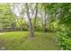 Lush backyard with mature trees at 11114 Wismar Dr, Indianapolis, IN 46235