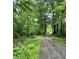 A secluded driveway leads through a lush forest setting at 206 E Hurdle Rd, Morgantown, IN 46160
