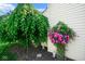 Lush landscaping with flowering vines and a weeping cherry tree at 4342 Sequoia Ct, Greenwood, IN 46143
