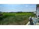 Lush back yard with a view of tennis courts and building beyond the expansive green lawn at 4817 Allium Dr, Plainfield, IN 46168