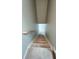View of carpeted stairwell leading to a bright, open space at 4817 Allium Dr, Plainfield, IN 46168