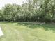 Lush backyard featuring well-maintained grass, mature trees, and beautiful landscaped garden beds at 5351 Abbington Ave, Plainfield, IN 46168