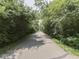 Scenic paved path surrounded by lush greenery and mature trees, perfect for walking and enjoying nature at 5351 Abbington Ave, Plainfield, IN 46168