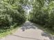 Paved neighborhood walking path lined with lush trees and greenery on either side at 5351 Abbington Ave, Plainfield, IN 46168