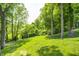 Expansive backyard featuring lush greenery, mature trees, and meticulously maintained lawn at 6940 Mockernut Ct, Plainfield, IN 46168