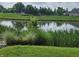 Scenic pond surrounded by lush greenery, offering a serene and picturesque view from the property at 6956 Park Square Dr # D, Avon, IN 46123