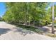 View of the street lined with birch trees and landscaping, leading up to the house at 900 W Busby St, Lebanon, IN 46052