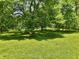 Well-manicured lawn with mature trees providing ample shade at 9014 Holliday Dr, Indianapolis, IN 46260