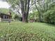 Expansive backyard featuring mature trees, a storage shed, and lush ground cover, offering ample space at 10130 Central Ave, Carmel, IN 46280