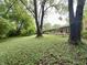 Spacious backyard with mature trees and lush ground cover, perfect for outdoor relaxation and enjoyment at 10130 Central Ave, Carmel, IN 46280