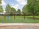 A charming swing set in a playground area surrounded by lush greenery at 1237 Wolcott Ct, Westfield, IN 46074