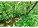 Scenic view of a stream surrounded by lush foliage and mature trees at 12380 Creekwood Ln, Carmel, IN 46032