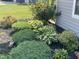 Landscaping featuring diverse greenery, mulch, and flowering plants next to a gray house at 2253 Jaybird Dr, Greenfield, IN 46140