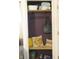 Neatly arranged front closet with shelves, hooks, and decorative pillows at 6344 Turner Dr, Clayton, IN 46118