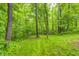 Grassy backyard with mature trees surrounding in a heavily wooded area at 749 Bracknell Dr, Avon, IN 46123