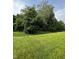 Green backyard with trees and landscaping at 832 Spinney Ln, Whiteland, IN 46184
