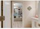 Spacious walk-in pantry with ample shelving for organized storage at 1510 Dominion Dr, Zionsville, IN 46077