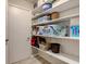 Organized pantry with shelving that allows for extra storage at 1510 Dominion Dr, Zionsville, IN 46077
