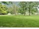 Expansive green backyard showcasing lush lawn, mature trees, and a fence line, offering privacy and room to roam at 233 Saddlebrook Dr, Zionsville, IN 46077